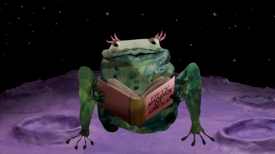 Frog Perspective - still from the film